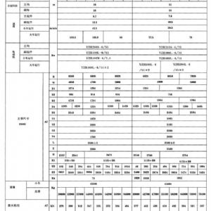 QDY型双梁桥式冶金起重机